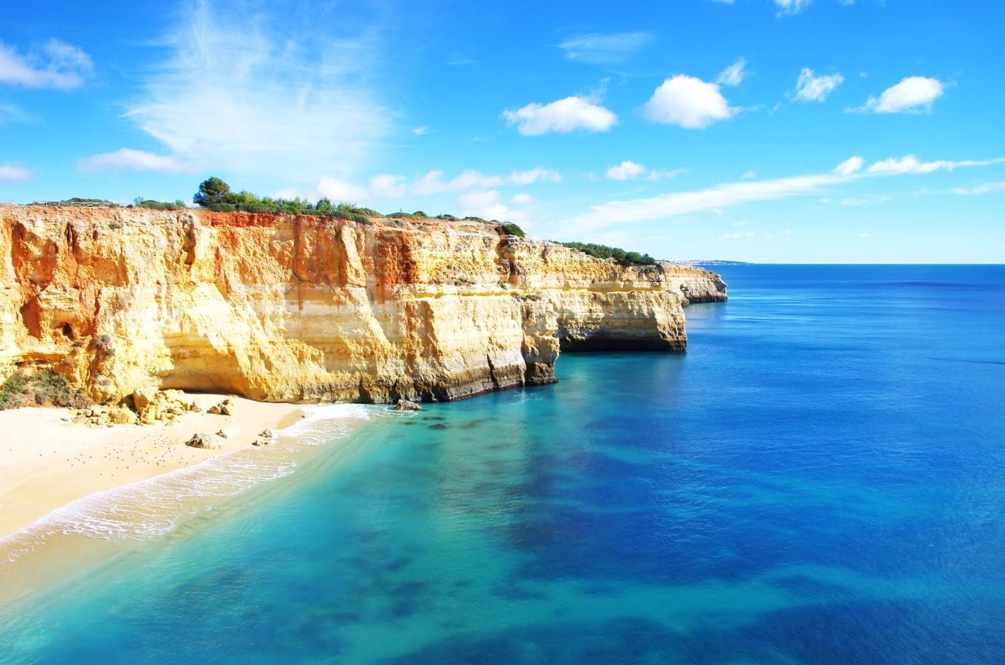 Bnb Homes Praia Da Rocha Beach Cozy Apartment 50 M Away From The Ocean 포티마오 외부 사진